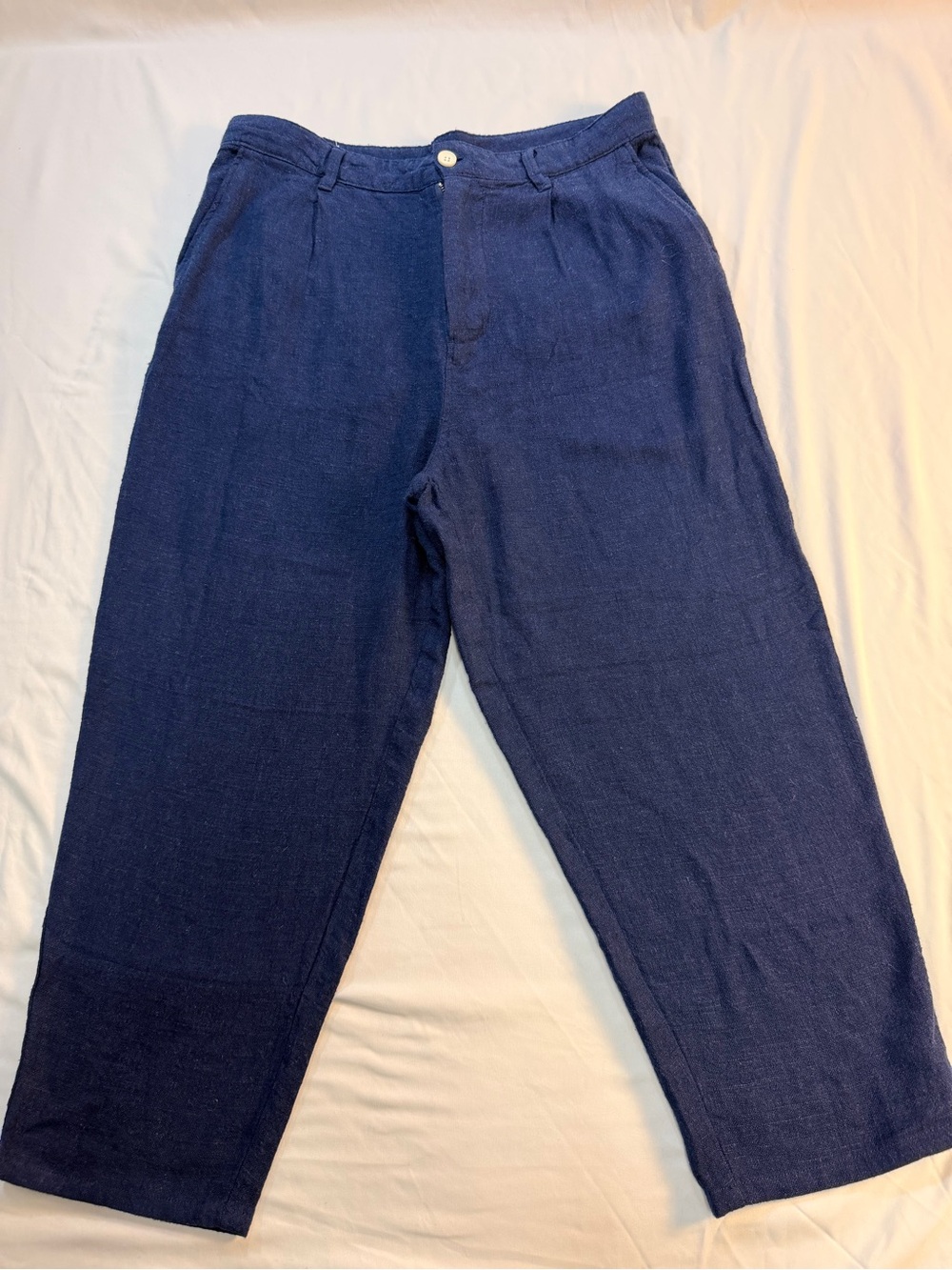 Zara Linen Blend Trousers Men’s 34 Blue Pleated Lightweight Summer Pants